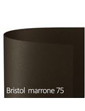 Conf.10 cartoncino Bristol Color 200gr 100x70cm marrone 75 Favini A3580A1