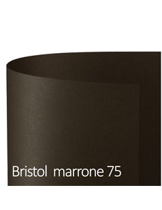 Conf.25 cartoncino Bristol Color 200gr 50x70cm marrone 75 Favini A358022 FAVINI CARTONCINO COLORATO