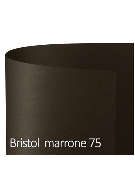 Conf.25 cartoncino Bristol Color 200gr 50x70cm marrone 75 Favini A358022 FAVINI CARTONCINO COLORATO