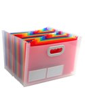 Classificatore c/maniglia 24tasche in pp f.to 33x23,5x25cm CRYSTAL Exacompta 55198E