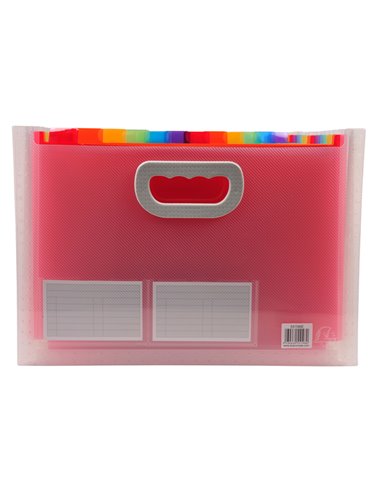 Classificatore c/maniglia 24tasche in pp f.to 33x23,5x25cm CRYSTAL Exacompta 55198E