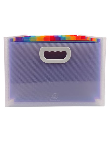 Classificatore c/maniglia 24tasche in pp f.to 33x23,5x25cm CRYSTAL Exacompta 55198E