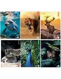 Maxiquaderno A4 40fg+2 80gr 4mm c/margine Animal BM 0110383
