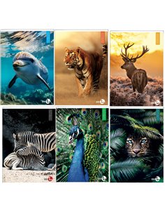 Maxiquaderno A4 40fg+2 80gr 4mm c/margine Animal BM 0110383
