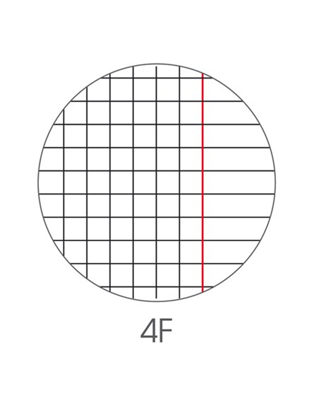 Maxiquaderno A4 40fg+2 80gr 4mm c/margine Animal BM 0110383