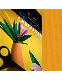 Blister 10fg cartoncino 35x50cm 220gr aragosta Cartacrea Fabriano 46435126