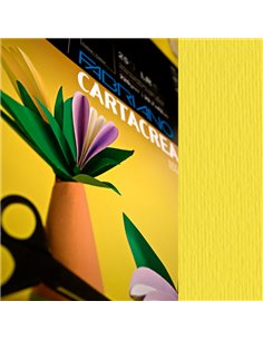 Blister 10fg cartoncino 35x50cm 220gr cedro Cartacrea Fabriano 46435125