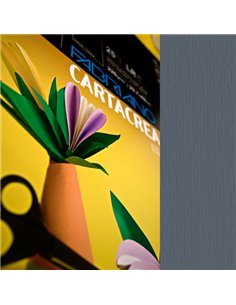 Blister 10fg cartoncino 35x50cm 220gr ferro Cartacrea Fabriano 46435122 FABRIANO CARTONCINO COLORATO