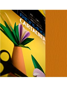 Blister 10fg cartoncino 35x50cm 220gr terra bruciata Cartacrea Fabriano 46435119 FABRIANO CARTONCINO COLORATO