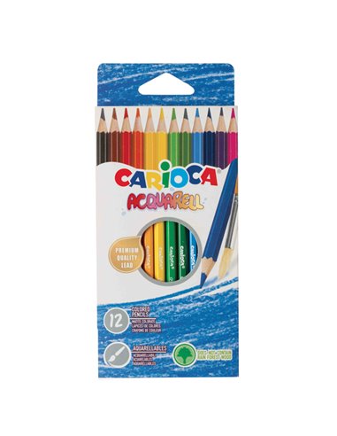 Astuccio 12 matite acquerellabili colori assortiti Carioca 42857