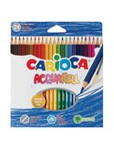 Astuccio 24 matite acquerellabili colori assortiti Carioca 42858