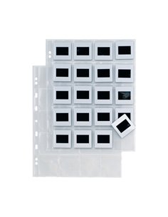10 buste forate A4 ATLA F DIA 20 con 20 spazi (5,5x5,5 cm) SEI ROTA 662514 SEI ROTA BUSTE PER USI DIVERSI E DEDICATI