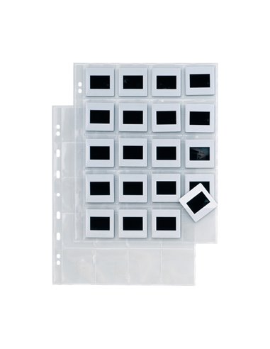10 buste forate A4 ATLA F DIA 20 con 20 spazi (5,5x5,5 cm) SEI ROTA 662514 SEI ROTA BUSTE PER USI DIVERSI E DEDICATI