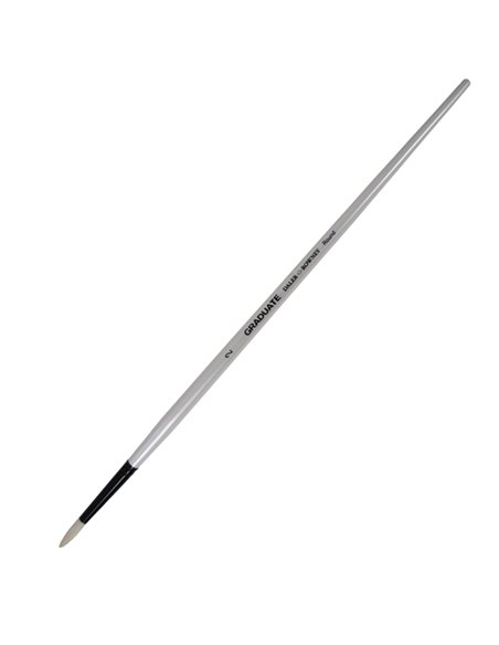 Pennello setola naturale Graduate tondo lungo n.2 manico lungo Daler Rowney D212145002