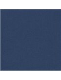 Foglio COLORLINE 70x100 cm 220 gr. 24 Oltremare 200041210