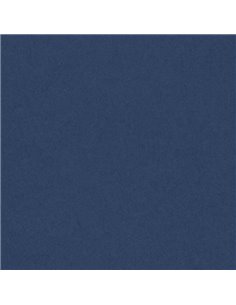 Foglio COLORLINE 70x100 cm 220 gr. 24 Oltremare 200041210 CANSON CARTA E CARTONCINO
