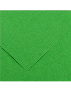 Foglio COLORLINE 70x100 cm 220 gr. 29 Verde brillante 200041215 CANSON CARTA E CARTONCINO