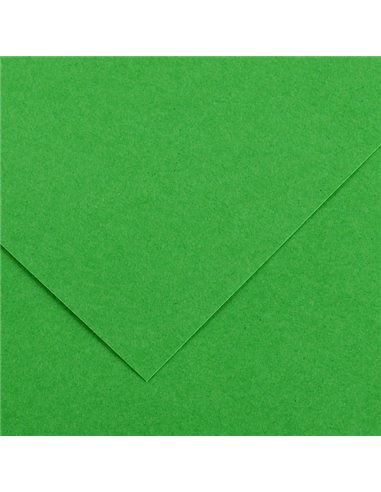 Foglio COLORLINE 70x100 cm 220 gr. 29 Verde brillante 200041215 CANSON CARTA E CARTONCINO