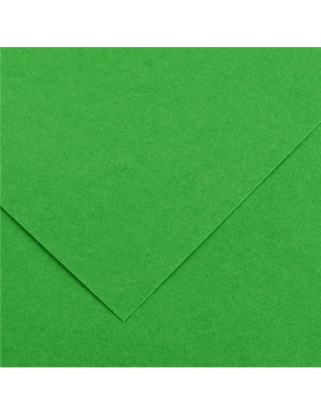 Foglio COLORLINE 70x100 cm 220 gr. 29 Verde brillante 200041215 CANSON CARTA E CARTONCINO