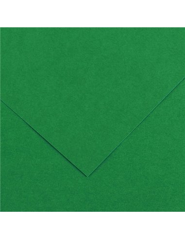 Foglio COLORLINE 70x100 cm 220 gr. 30 Verde vivo 200041216 CANSON CARTA E CARTONCINO