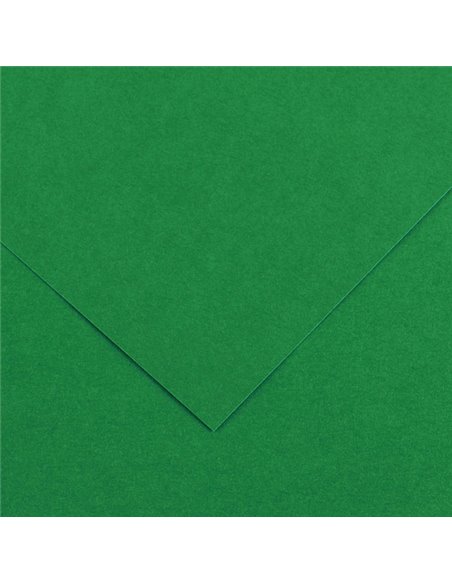 Foglio COLORLINE 70x100 cm 220 gr. 30 Verde vivo 200041216 CANSON CARTA E CARTONCINO