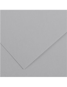 Foglio COLORLINE 70x100 cm 220 gr. 35 Grigio chiaro 200041221 CANSON CARTA E CARTONCINO