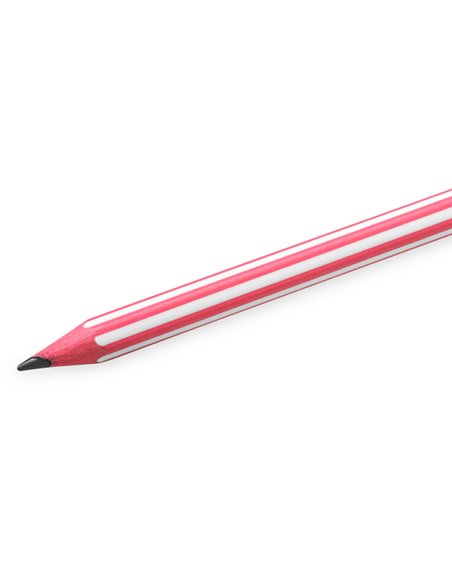 Scatola 12 matite Evolution Stripes BIC 918487 BIC MATITE GRAFITE