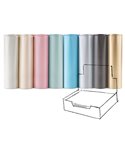 Scatola 100fg carta regalo perlage 70X100cm Rex Sadoch PE400ASS