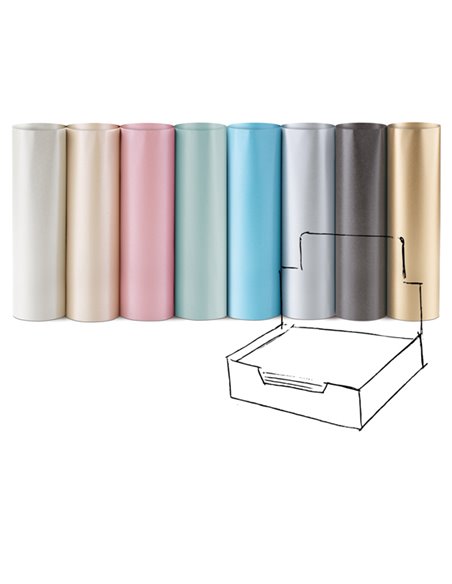 Scatola 100fg carta regalo perlage 70X100cm Rex Sadoch PE400ASS