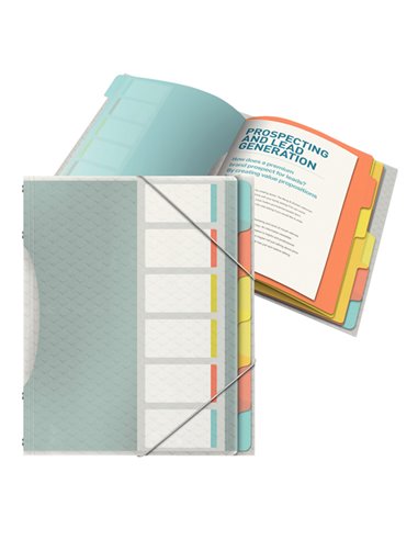 Libro monitore con 6 divisori multicolore Colour'Ice Esselte 626255 ESSELTE CLASSIFICATORI