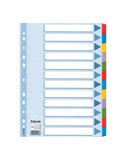 Intercalare MYLAR 12 tasti colorati - f.to A4 ESSELTE 100169