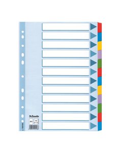 Intercalare MYLAR 12 tasti colorati - f.to A4 ESSELTE 100169 ESSELTE DIVISORI-SEPARATORI CON TASTI NEUTRI