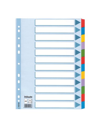 Intercalare MYLAR 12 tasti colorati - f.to A4 ESSELTE 100169 ESSELTE DIVISORI-SEPARATORI CON TASTI NEUTRI