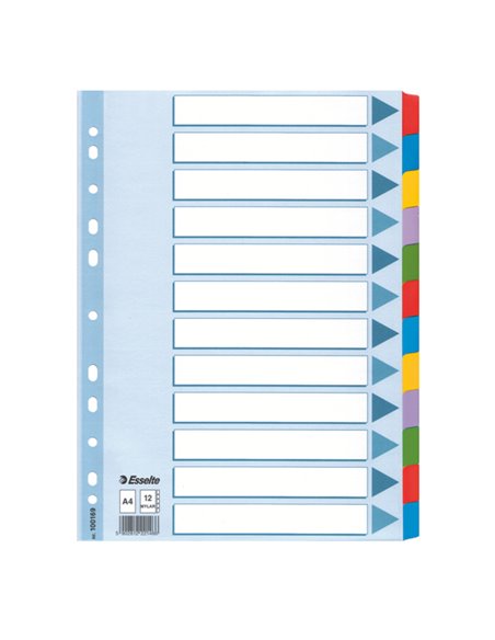 Intercalare MYLAR 12 tasti colorati - f.to A4 ESSELTE 100169 ESSELTE DIVISORI-SEPARATORI CON TASTI NEUTRI