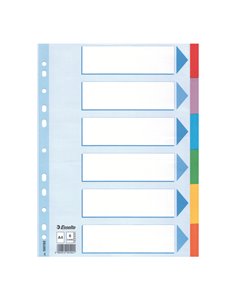 Intercalare cartoncino 6 tasti colorati - f.to A4 Esselte 100192 ESSELTE DIVISORI-SEPARATORI CON TASTI NEUTRI
