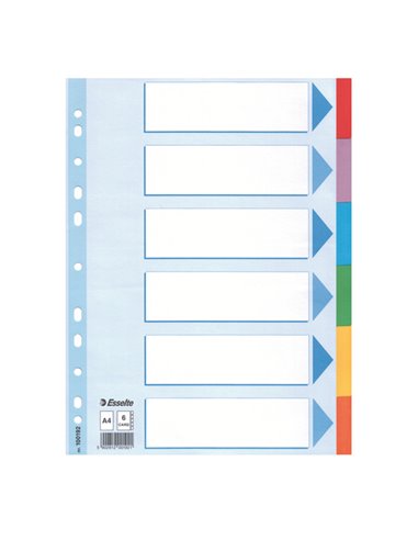 Intercalare cartoncino 6 tasti colorati - f.to A4 Esselte 100192 ESSELTE DIVISORI-SEPARATORI CON TASTI NEUTRI
