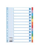 Intercalare cartoncino 12 tasti colorati - f.to A4 Esselte 100194