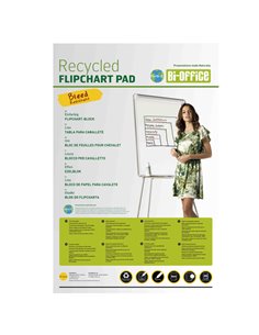 Blocchi per lavagna 65x98cm 20Fg Earth Bi-Office FL0325003
