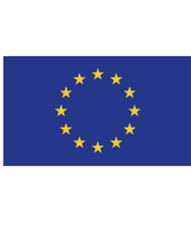 Bandiera EUROPA 100x150cm in poliestere nautico BAE150 CARTELLI SEGNALATORI SEGNALETICA