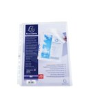 10 Buste forate c/soffietto e patella PPL liscio A4 5503E Exacompta 5503E