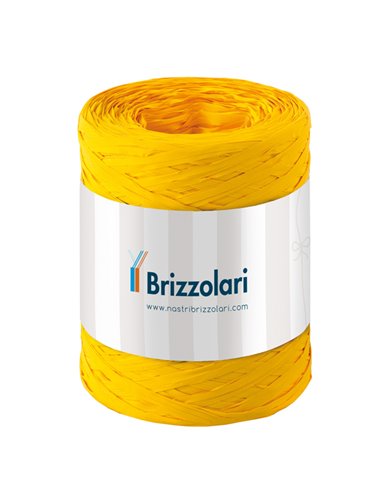 Rafia sintetica 6802 5mmx200mt colore giallo 02 Brizzolari 01003702
