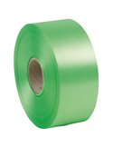 Nastro liscio 6800 50mmx100mt colore verde chiaro 10 Brizzolari 00366310