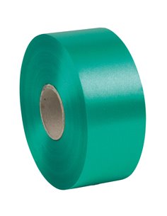Nastro liscio 6800 50mmx100mt colore verde bandiera 09 Brizzolari 00366309