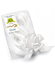 30 nastri strip 6800 31mm-Ø13cm colore bianco 01 Brizzolari 00313201
