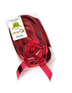 30 nastri strip metal 6870 31mm-Ø13cm colore rosso 07 Brizzolari 00314007 BRIZZOLARI NASTRI-FIOCCHI-STELLE