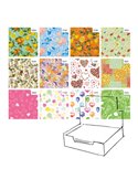 Scatola 100fg carta regalo Raso Primavera 70X100cm Rex Sadoch R4411GEN
