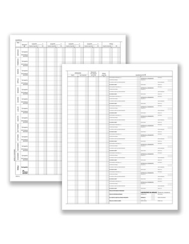 Registro prospetto riepilogativo assoc.sportive 8pag. 31x24,5cm DU13852S000 DU DU13852S000