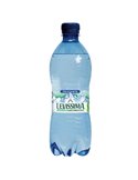 Acqua frizzante bottiglia PET 100 riciclabile 500ml Levissima 12456720