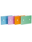 Valigetta polionda Every Line Pastel 36,5x56,5cm dorso 5,5cm Favorit 100501081