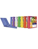 Raccoglitore MYTO TI 17 A4 4D 22x30cm assortito personalizzabile SEI ROTA 36911899